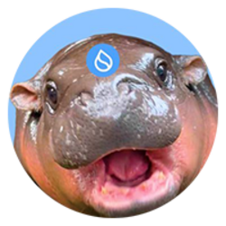 HIPPO